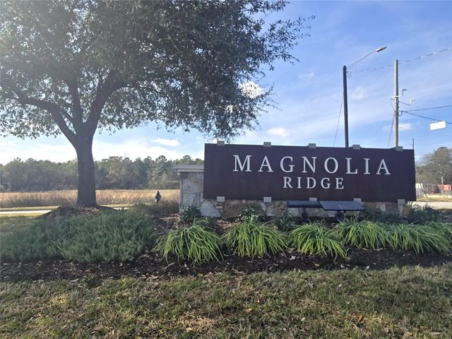 154 Bellewood Manor Drive, Magnolia, TX 77354