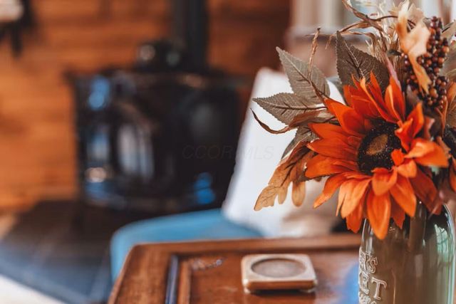 18435 Goat Run Honey Fork Road, Logan, OH 43138