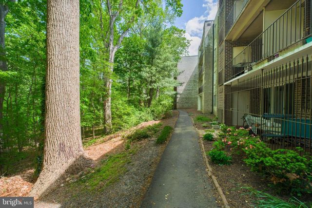 5065 7TH RD S #202, Arlington, VA 22204