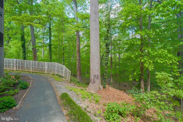 5065 7TH RD S #202, Arlington, VA 22204