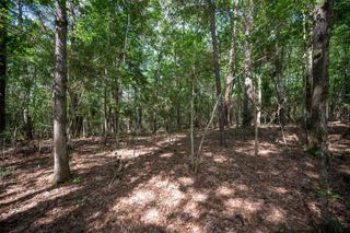 tbd Us Highway 190 E, Woodville, TX 75979