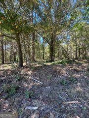 0 Fairview Farms Circle, Lavonia, GA 30553