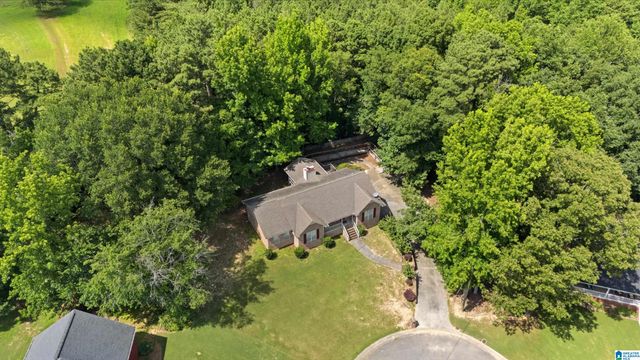 9620 KOURTNY WAY, Warrior, AL 35180