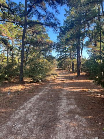 TBD Pine Lodge DR, Bastrop, TX 78602