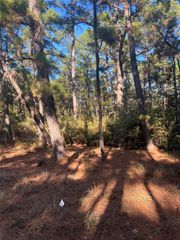 TBD Pine Lodge DR, Bastrop, TX 78602