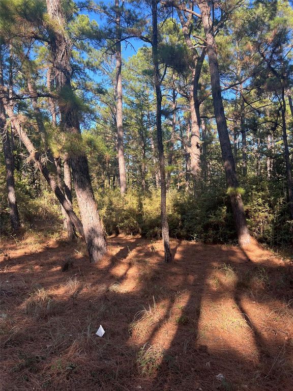 TBD Pine Lodge DR, Bastrop, TX 78602