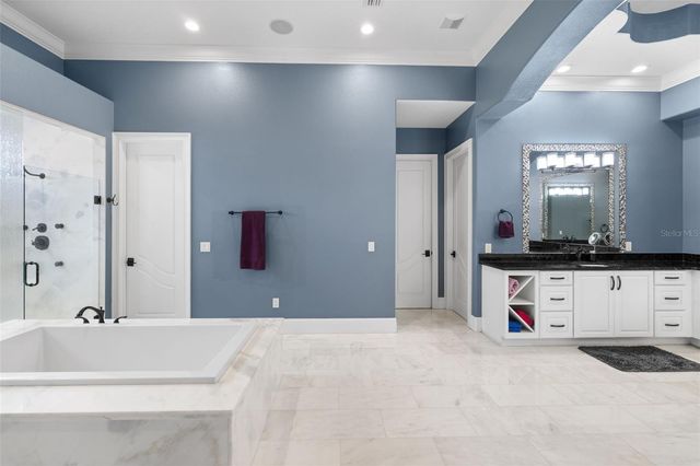 17301 BALLMONT PARK DRIVE, Odessa, FL 33556