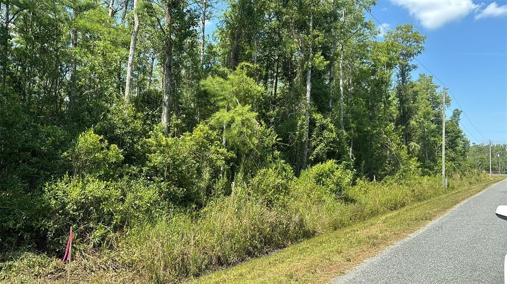 Lot 184 ATLANTA DRIVE, St Cloud, FL 34773