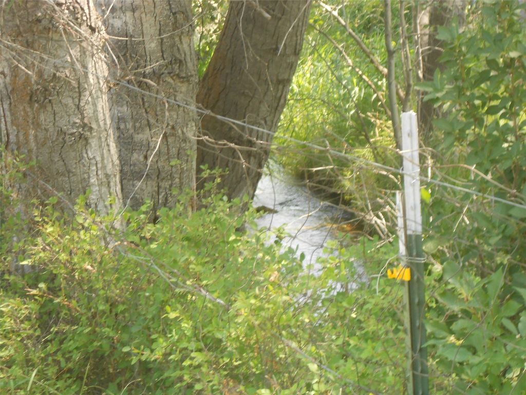 529/527 W River Road, Hamilton, MT 59840 photo 10