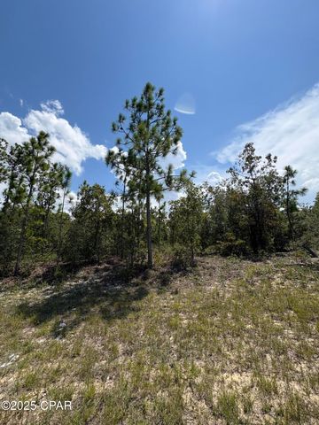 Lot 15 Trellis Drive, Chipley, FL 32428