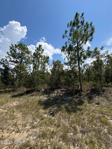 Lot 15 Trellis Drive, Chipley, FL 32428