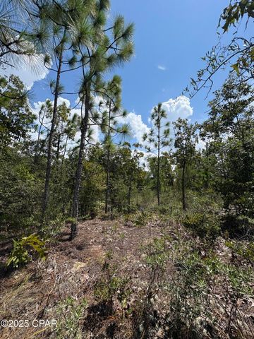 Lot 15 Trellis Drive, Chipley, FL 32428