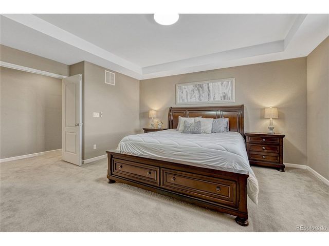 13799 Wickfield Pl, Parker, CO 80134