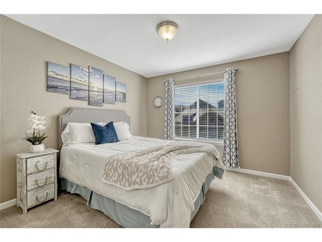 13799 Wickfield Pl, Parker, CO 80134