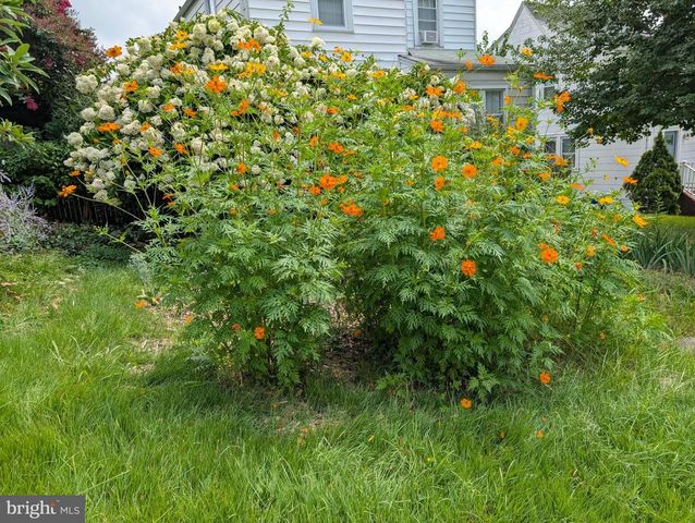 6113 TRAMORE RD, Baltimore, MD 21214