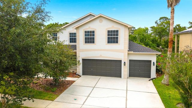 14843 HERONGLEN DRIVE, Lithia, FL 33547
