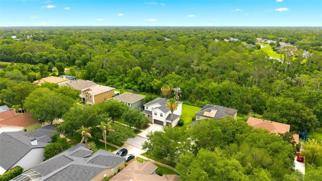 14843 HERONGLEN DRIVE, Lithia, FL 33547