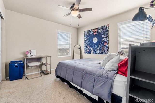 5849 Echo Park Circle, Castle Rock, CO 80104