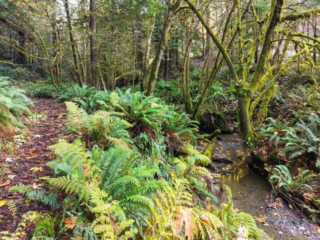 50 Redwood Avenue, Rio Dell, CA 95562