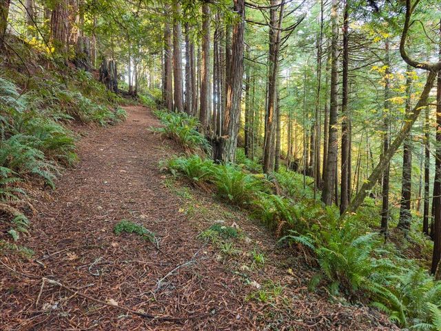 50 Redwood Avenue, Rio Dell, CA 95562