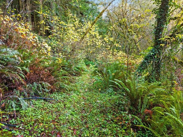 50 Redwood Avenue, Rio Dell, CA 95562