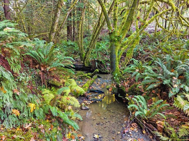 50 Redwood Avenue, Rio Dell, CA 95562