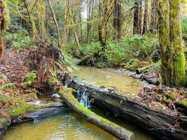 50 Redwood Avenue, Rio Dell, CA 95562