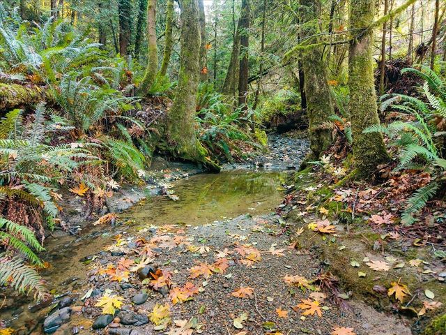 50 Redwood Avenue, Rio Dell, CA 95562