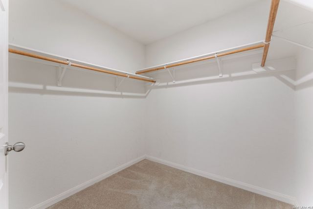 11802 Luckey Flower, San Antonio, TX 78252