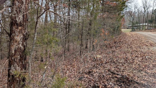 Tonto Drive, Cherokee Village, AR 72529