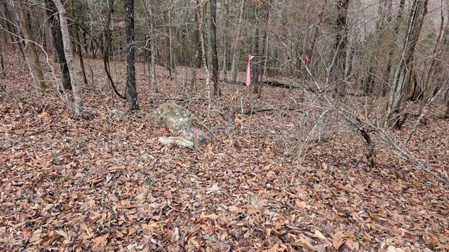 Tonto Drive, Cherokee Village, AR 72529