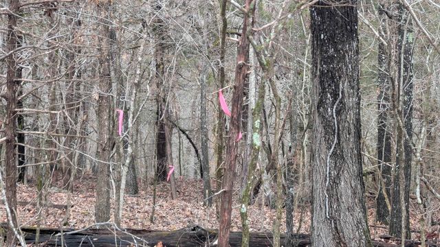 Tonto Drive, Cherokee Village, AR 72529