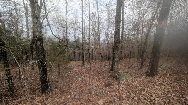 Tonto Drive, Cherokee Village, AR 72529
