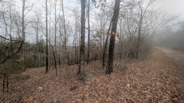 Tonto Drive, Cherokee Village, AR 72529