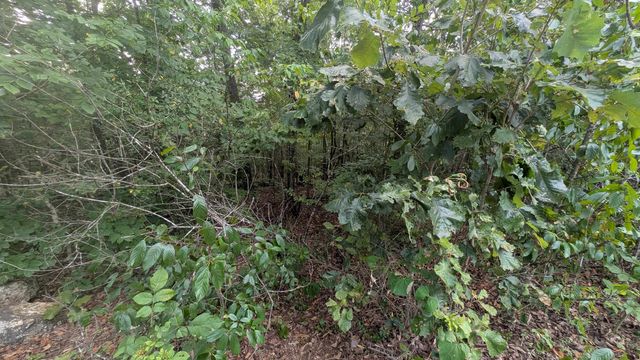 Tonto Drive, Cherokee Village, AR 72529