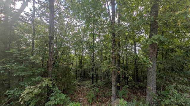 Tonto Drive, Cherokee Village, AR 72529