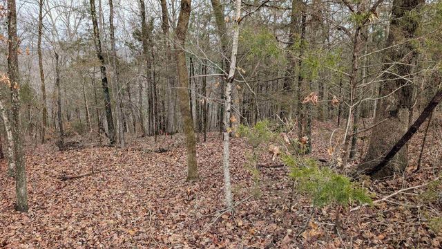 Tonto Drive, Cherokee Village, AR 72529