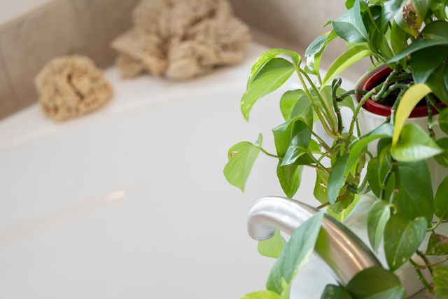 2221 VENADA Road, Rio Rancho, NM 87144