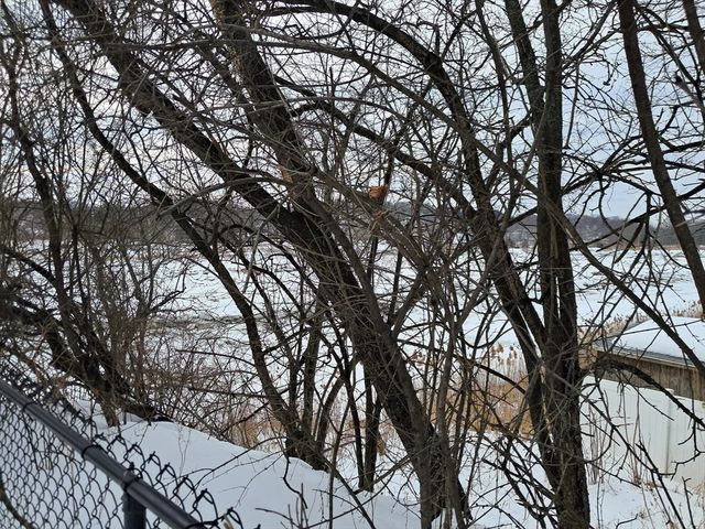 187 Hamilton St, Saugus, MA 01906