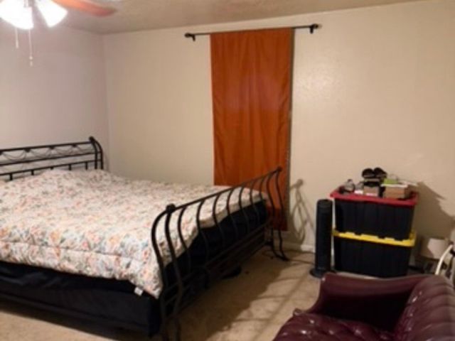 3127 Apple Drive, Houston, TX 77459