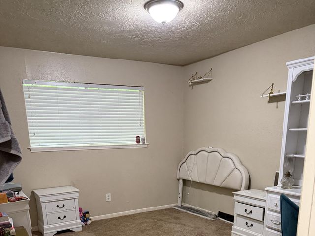3127 Apple Drive, Houston, TX 77459