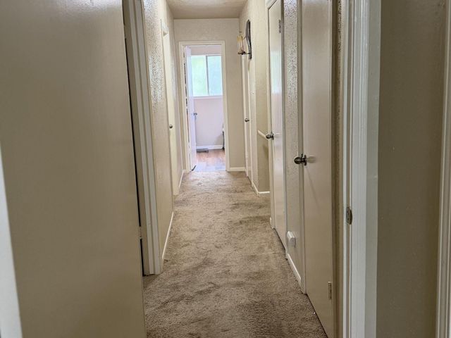 3127 Apple Drive, Houston, TX 77459
