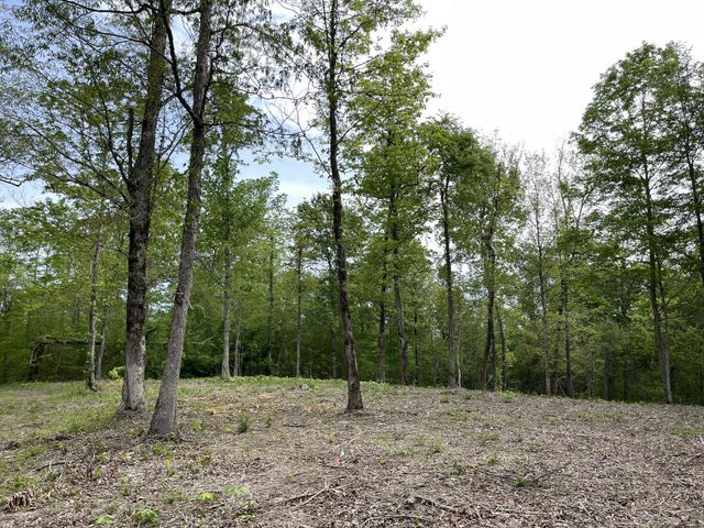 0 Primm Ridge Rd, Primm Springs, TN 38476