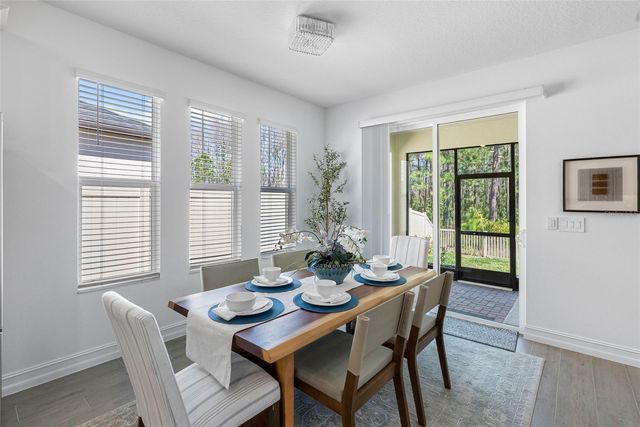 18178 SERENE LAKE LOOP, Lutz, FL 33548