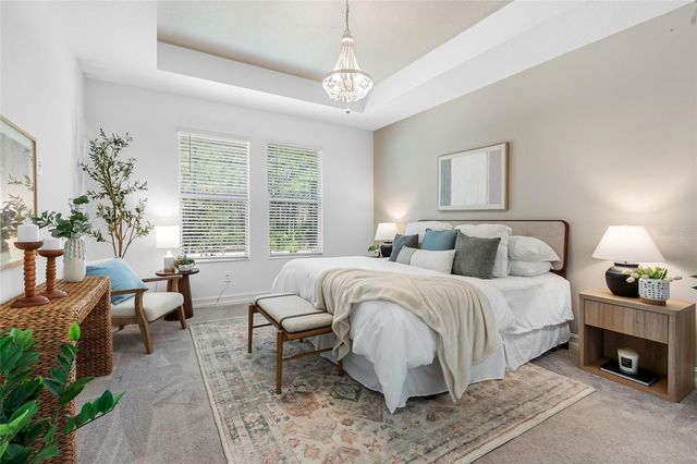 18178 SERENE LAKE LOOP, Lutz, FL 33548