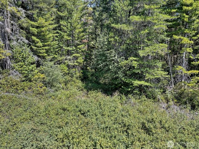 0 NE Eagle Creek Lane, Tahuya, WA 98528