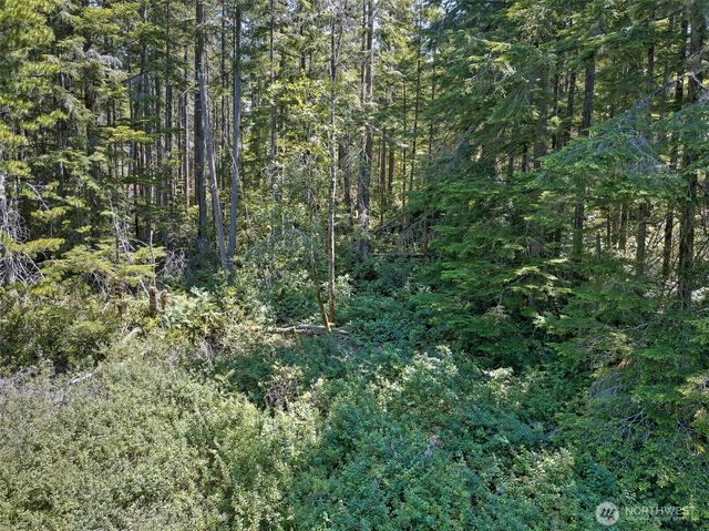 0 NE Eagle Creek Lane, Tahuya, WA 98528