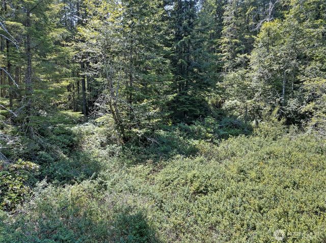 0 NE Eagle Creek Lane, Tahuya, WA 98528