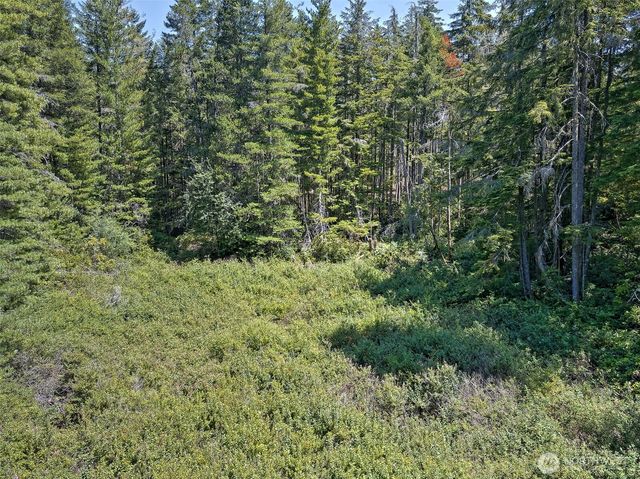 0 NE Eagle Creek Lane, Tahuya, WA 98528