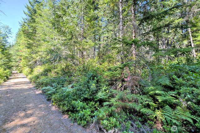 0 NE Eagle Creek Lane, Tahuya, WA 98528